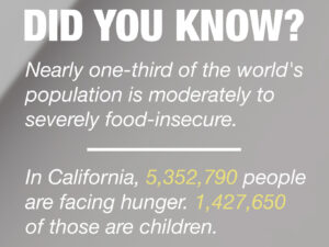 One Day To Feed The World Project Image